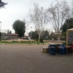i giardini di piazza Mancini